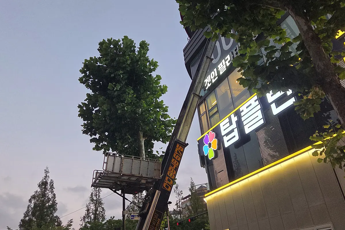 인천 서구 매장 대형폐기물 현장 사진 5