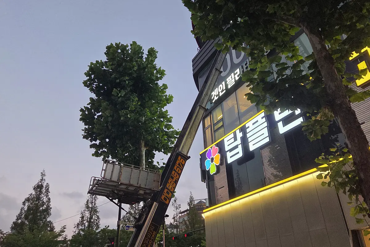 부천 소사구 상가 사업장폐기물 현장 사진 3