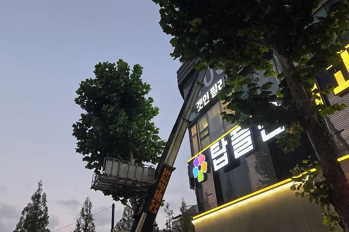 고양 덕양구 집기 철거 비용 현장 사진 5